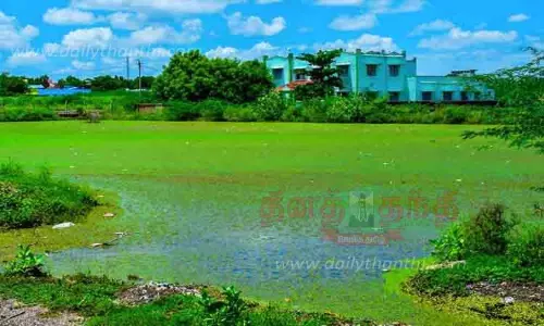 பாசிப்படர்ந்த ஊருணிகள்