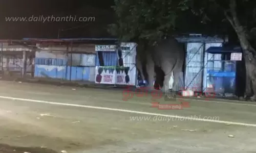 பண்ணாரி மாரியம்மன் கோவில் அருகேகடையில் இருந்த பொருட்களை சேதப்படுத்திய காட்டு யானை