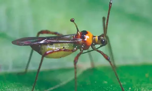 டெங்கு கொசு ஒழிப்பு பணிகளை தீவிரப்படுத்த வேண்டும்