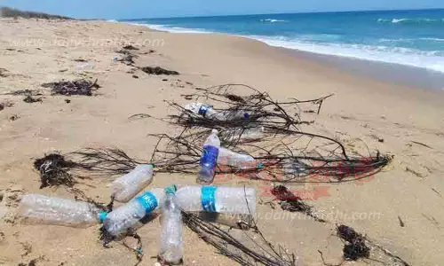 கரை ஒதுங்கி கிடக்கும் பிளாஸ்டிக் பாட்டில்கள் கரை ஒதுங்கி கிடக்கும் பிளாஸ்டிக் பாட்டில்கள்
