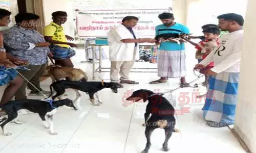 கால்நடை சிறப்பு மருத்துவ முகாம்