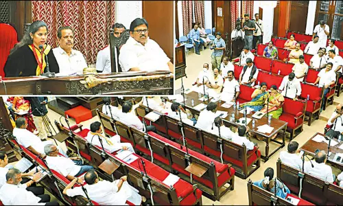 டெங்கு குறித்து கவுன்சிலர்கள் வீடியோ மூலம் விழிப்புணர்வு ஏற்படுத்த வேண்டும் -மேயர் அறிவுறுத்தல்