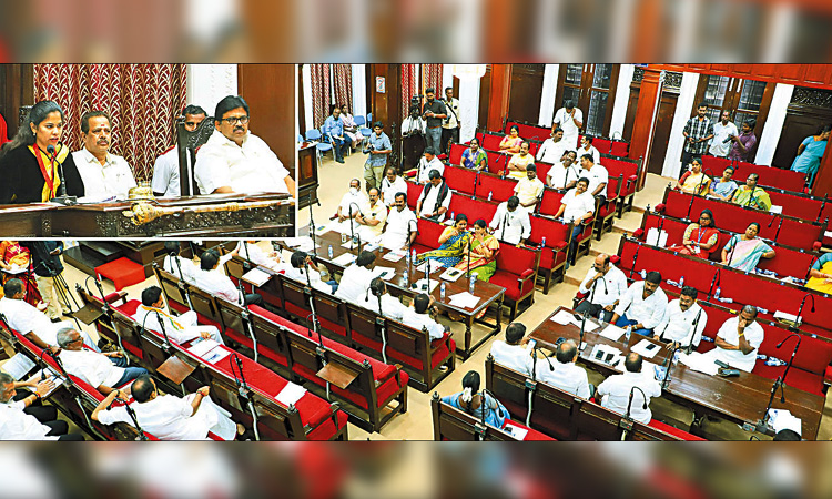 டெங்கு குறித்து கவுன்சிலர்கள் வீடியோ மூலம் விழிப்புணர்வு ஏற்படுத்த வேண்டும் - மேயர் பிரியா அறிவுறுத்தல்