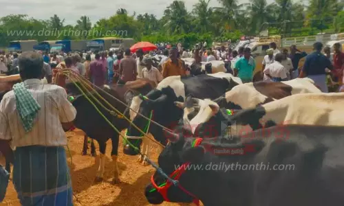 சீனாபுரம் கால்நடை சந்தையில் ரூ.1½ கோடிக்கு கால்நடைகள் விற்பனை