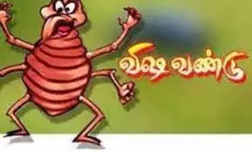 விஷ வண்டு கடித்து முதியவர் சாவு