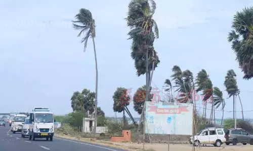 பலத்த காற்றினால் தள்ளாட்டம் பலத்த காற்றினால் தள்ளாட்டம்