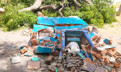 தேனி அருகே மரத்தை வெட்டியபோது கிளை விழுந்து திருவள்ளுவர் சிலை சேதம்