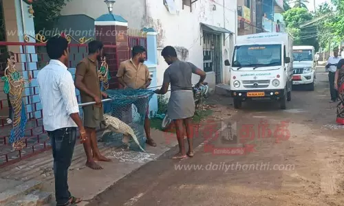 நாய்கள் பிடிக்கும் பணி