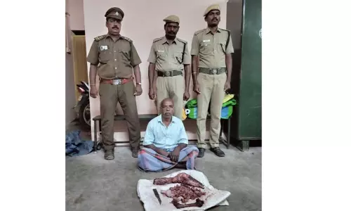 மான் இறைச்சி விற்றவர் கைது