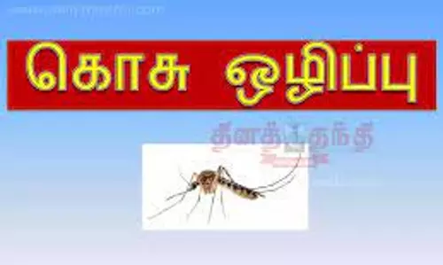 டெங்கு கொசு ஒழிப்பு