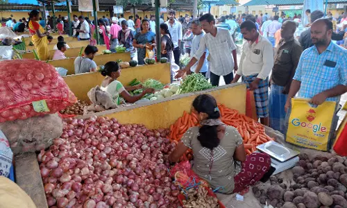 புரட்டாசி 2-வது சனிக்கிழமையையொட்டிதர்மபுரி உழவர் சந்தையில் 47 டன் காய்கறி, பழங்கள் விற்பனை புரட்டாசி 2-வது சனிக்கிழமையையொட்டிதர்மபுரி உழவர் சந்தையில் 47 டன் காய்கறி, பழங்கள் விற்பனை