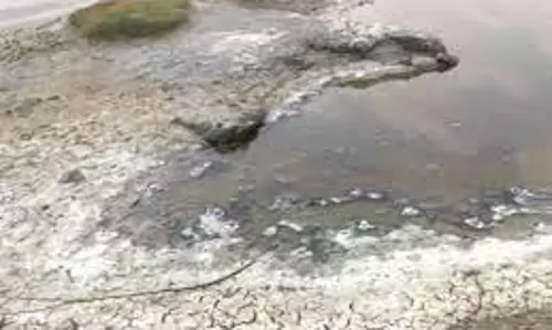 பெருந்துறை சிப்காட்டில் விதிகளை மீறும் தொழிற்சாலைகள் மீது கடும் நடவடிக்கைகொங்குநாடு மக்கள் தேசிய கட்சி கோரிக்கை