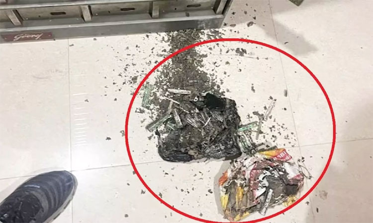 மகளின் திருமணத்திற்காக வங்கியில் சேமித்த பணத்தை கரையான் அரித்தது - வாடிக்கையாளர் அதிர்ச்சி