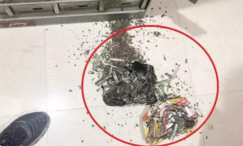 மகளின் திருமணத்திற்காக வங்கியில் சேமித்த பணத்தை கரையான் அரித்தது - வாடிக்கையாளர் அதிர்ச்சி