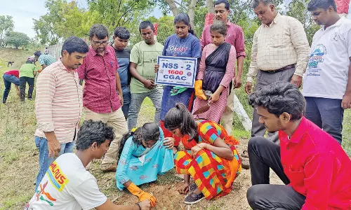 பனைவிதைகள் விதைத்த கல்லூரி மாணவா்கள்