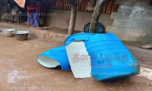 தென்னை மரங்களை சேதப்படுத்திய காட்டு யானை