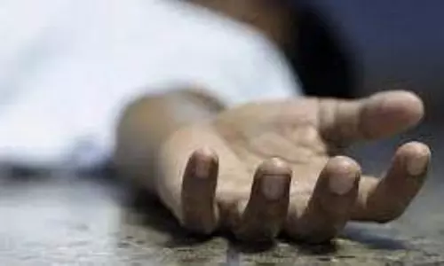 ரெயில்வே பால தூணில் கார் மோதியதில் முன்னாள் எம்.எல்.ஏ.வின் பேரன் பலி