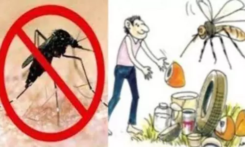 டெங்கு புழுக்கள் உற்பத்திக்கு காரணமான கட்டுமான நிறுவனத்துக்கு ரூ.10 ஆயிரம் அபராதம்