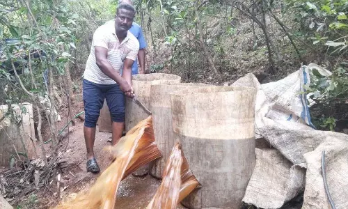 1600 லிட்டர் சாராய ஊறல் அழிப்பு