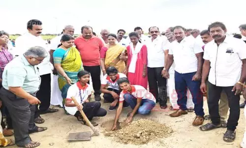 கடற்கரையில் பனை விதை விதைக்கும் பணி