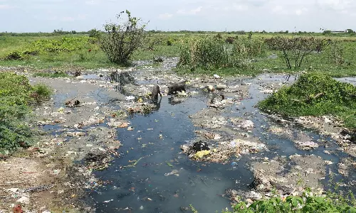 விழுப்புரத்தில் கழிவுநீர் கலப்பதால் மாசடைந்த ஏரி; ஆயிரக்கணக்கான ஏக்கர் விவசாய நிலங்கள் பாதிப்பு விழுப்புரத்தில் கழிவுநீர் கலப்பதால் மாசடைந்த ஏரி; ஆயிரக்கணக்கான ஏக்கர் விவசாய நிலங்கள் பாதிப்பு