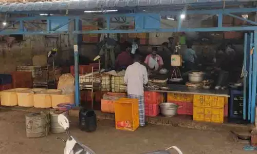புரட்டாசி மாதத்தால் மீன்கள் விற்பனை மந்தம்
