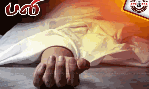 மோட்டார் சைக்கிளில் இருந்து தவறி விழுந்து இளம்பெண் பலி