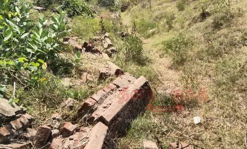 விவசாயிகள் கோரிக்கை