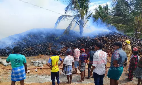 மின்கசிவால் குடோனில் தீ; 8 லட்சம் தேங்காய்கள் எரிந்து நாசம்