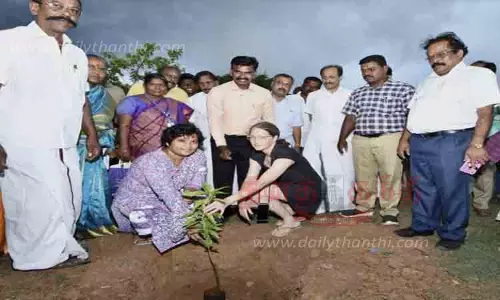 பனை விதை, மரக்கன்றுகள் நடும் பணி