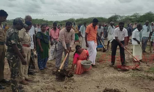 பனை விதைகள் நடும் பணி