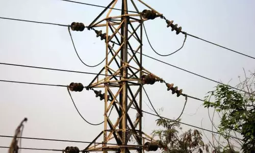 மின்சாரம் தாக்கி மரம் ஏறும் தொழிலாளி பலி