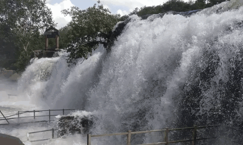 திற்பரப்பு அருவியில் சுற்றுலா பயணிகள் குளிக்க தடை திற்பரப்பு அருவியில் சுற்றுலா பயணிகள் குளிக்க தடை