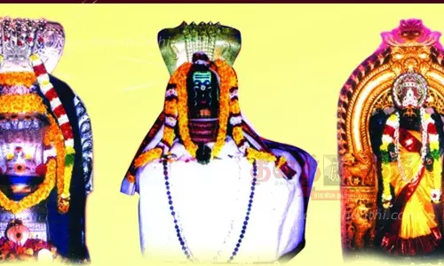 திருப்பாம்புரம் சேஷபுரீஸ்வரர் கோவிலில் ராகு-கேது பெயர்ச்சி விழா திருப்பாம்புரம் சேஷபுரீஸ்வரர் கோவிலில் ராகு-கேது பெயர்ச்சி விழா