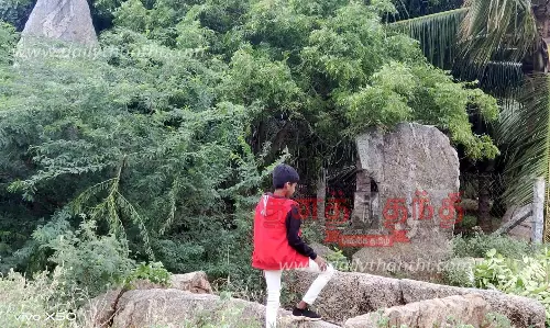 கொடுமணலில் புதர்களுக்குள் மறையும் தொல்லியல் அடையாளங்கள்- பாதுகாக்க நடவடிக்கை எடுக்கப்படுமா?