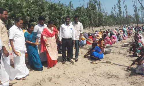 பனை விதைகள் விதைக்கும் பணி