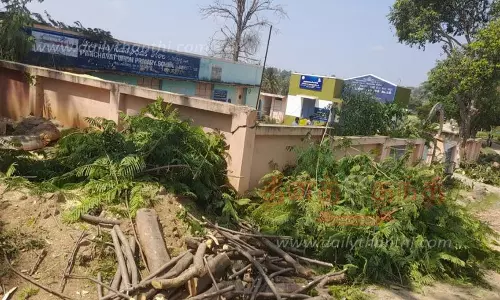 தேன்கனிக்கோட்டை அருகேஅரசு பள்ளி வளாகத்தில் மரங்கள் வெட்டி அகற்றம் தேன்கனிக்கோட்டை அருகேஅரசு பள்ளி வளாகத்தில் மரங்கள் வெட்டி அகற்றம்