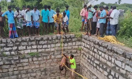 கிணற்றில் தவறி விழுந்த விவசாயி சாவு