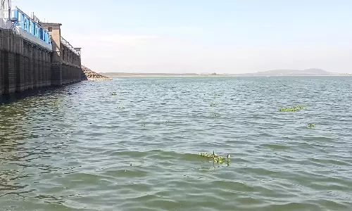 வைகை அணை நீர்மட்டம் 50 அடியாக உயர்வு