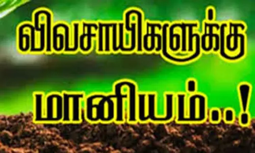 மிளகாய் சாகுபடி செய்யும் விவசாயிகளுக்கு ரூ.3 ஆயிரம் மானியம்