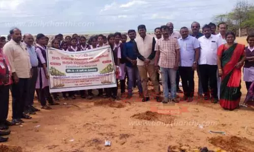 உவரி கடற்கரையில் பனை விதைகள் விதைப்பு