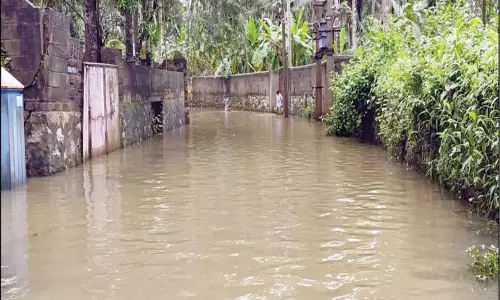 கனமழை எதிரொலி: குமரியில் 3 குளங்கள் உடைந்தன -ஆறுகளில் வெள்ளப்பெருக்கு கனமழை எதிரொலி: குமரியில் 3 குளங்கள் உடைந்தன -ஆறுகளில் வெள்ளப்பெருக்கு