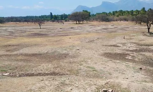 பூசாரிநாயக்கன் ஏரி பாசனத்திற்கு தண்ணீர் திறந்து விடப்படுமா? விவசாயிகள் எதிர்பார்ப்பில் உள்ளனர்.