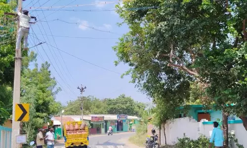 அரசு நடுநிலைப்பள்ளிக்கு 24 மணி நேரத்தில் மின் இணைப்பு