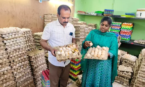 கெட்டுப்போன 2 ஆயிரம் முட்டைகள் அழிப்பு