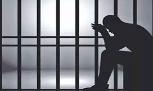 நகை திருட்டு வழக்கில் வாலிபர்களுக்கு 2 ஆண்டு சிறை; திருத்தணி கோர்ட்டு தீர்ப்பு நகை திருட்டு வழக்கில் வாலிபர்களுக்கு 2 ஆண்டு சிறை; திருத்தணி கோர்ட்டு தீர்ப்பு