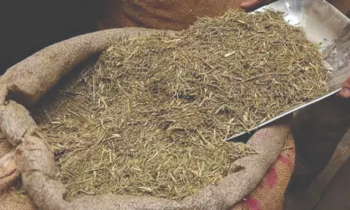 டெங்கு பரவலை தடுக்க பள்ளிகளில் நிலவேம்பு கசாயம் வழங்க வேண்டும்