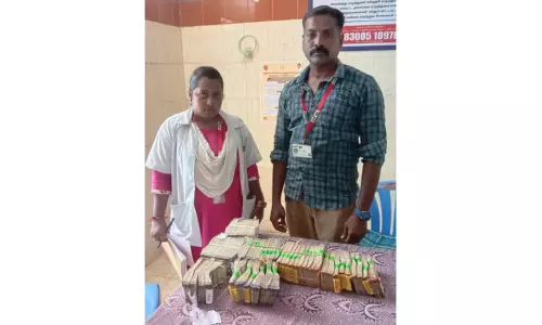 ரூ.17 லட்சத்துடன் சென்ற ஊழியர் காட்டு பன்றி மீது மோதி விபத்து