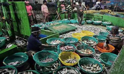 தூத்துக்குடியில் 5 நாட்களுக்கு பிறகு கடலுக்கு சென்ற விசைப்படகு மீனவர்கள்