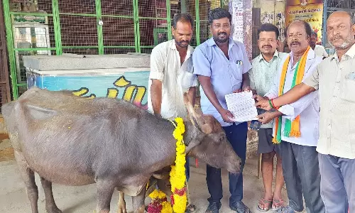 வாய்க்கால் ஆக்கிரமிப்பு அகற்றப்படாததை கண்டித்துஎருமை மாட்டிடம் மனு அளிக்கும் போராட்டம் நடத்திய சமூகஆர்வலர்வளவனூரில் பரபரப்பு